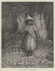 The Fairy Ring